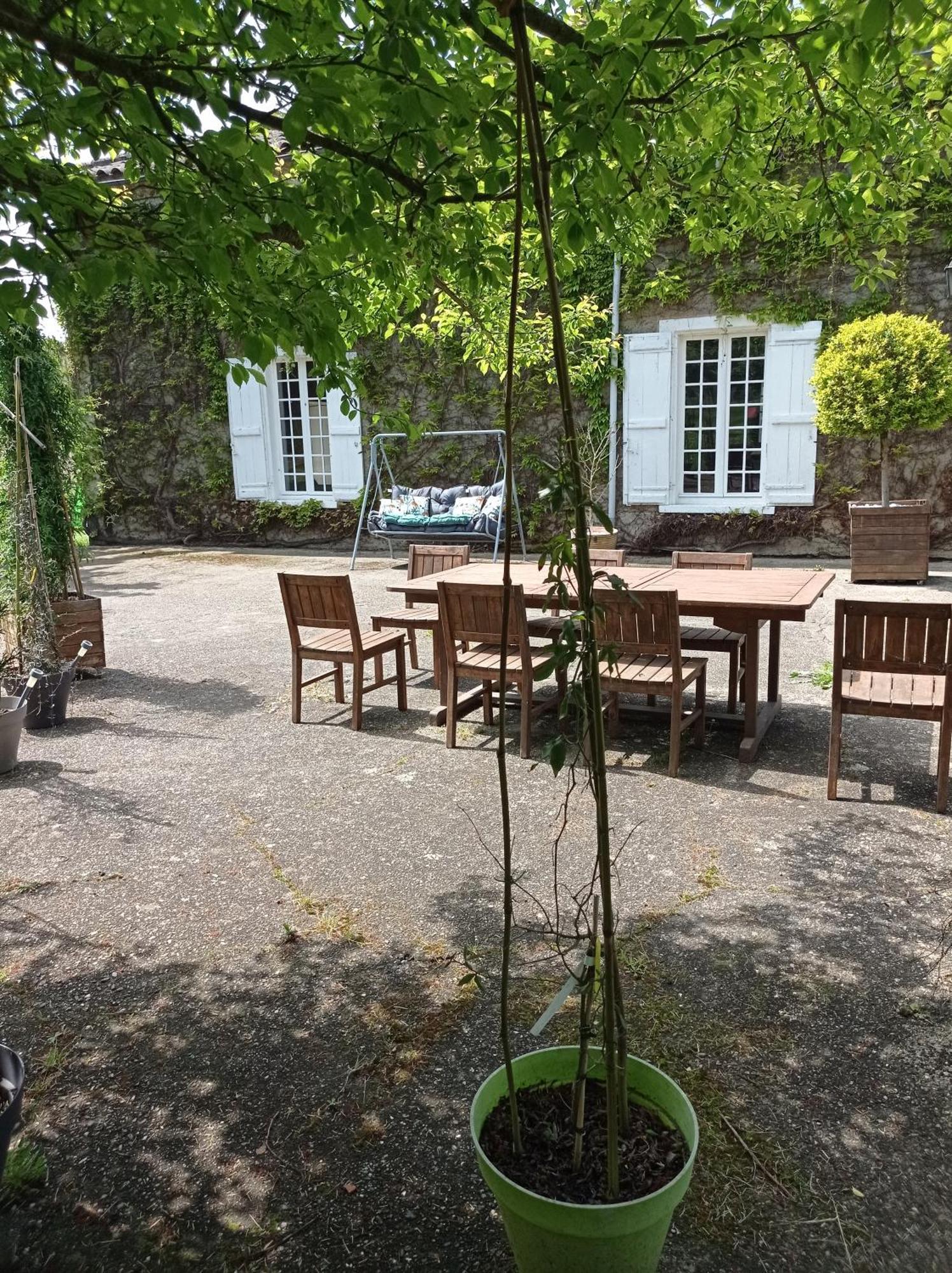 Le Chateau De Roquebere Condom Exterior photo